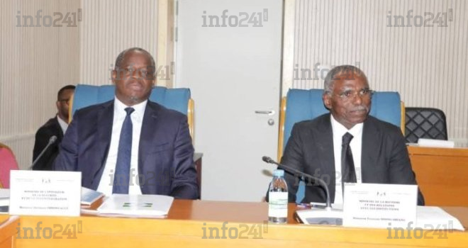 Loi sur les partis et découpage électoral : Ndong Obiang et Immongault face aux députés