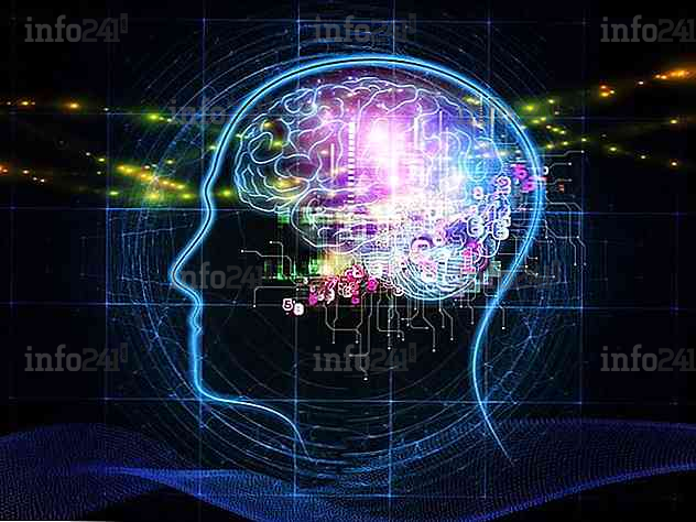 La psychologie de l’apprentissage en ligne : stratégies de motivation et d’engagement