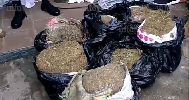 Drogue : 2 dealers et 7 ballots de chanvre indien à destination du Gabon, arrêtés au Cameroun
