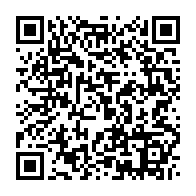 qrcode:https://webmail.info241.com/conservation-justice-et-space-for-giants-s-allient-pour-attenuer,9485