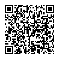 qrcode:https://webmail.info241.com/82-ckilsenpensent-les-critiques-et-inquietudes-d-albert-ondo,9101